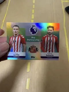 サンダーランド プロパートナーシップカード サッカー2025/26のサムネイル