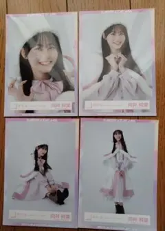 櫻坂46 向井純葉 生写真 サンタ 2023 コンプ