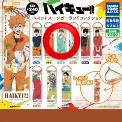 ハイキュー!!ペイントスーツガーランドコレクション