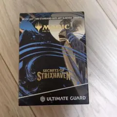 MTG Silverquill Influence English 英語版 - メルカリ