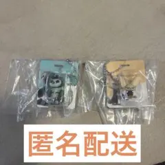 ズートピア　ブリスターチャームコレクション フィニック フラッシュ