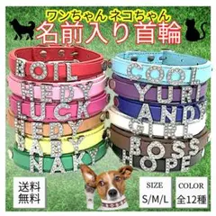 最安値　犬　猫　首輪　ペット　キラキラ　名前入り　オーダー