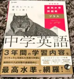 Item thumbnail for item 52fd5d34-da8c-43a4-a4e9-18f00a4bee93