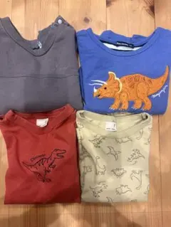 恐竜トップスセット　ムージョン