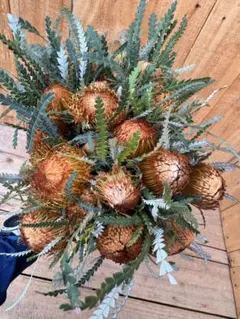 ももかっぱ様 リクエスト 2点 まとめ商品