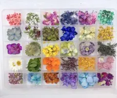 押し花＆ドライフラワー詰め合わせ♡30種類16
