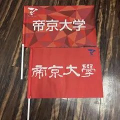 帝京大学 応援フラッグ 2本セット