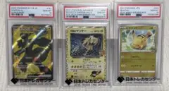 PSA10 ピカチュウ 25th R団のサンダー　ゼクロムPSA10まとめ売りのサムネイル