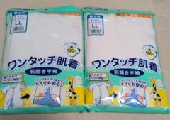 Item thumbnail for item a6d0244b-e0d8-422f-ac2d-2450e77d00ff