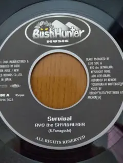 RSW 15th Ryo the Skywalker 7inch レコードセット RSW 15th Ryo the Skywalker 7inch レコードセット