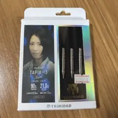 スティールダーツ