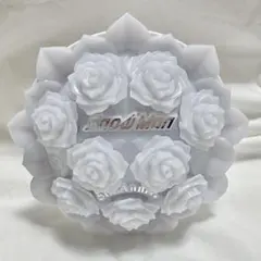 SnowMan 1st StadiumペンライトSnow World即日発送