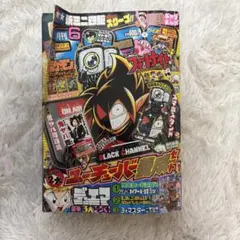 ポケモンサン・ムーン イワンコ全力デッキ コロコロコ2017年1月号…未