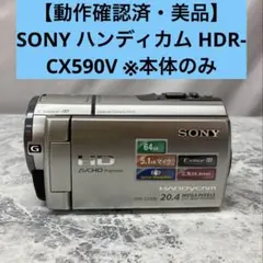 【動作確認済・美品】SONY ハンディカム HDR-CX590V ※本体のみ
