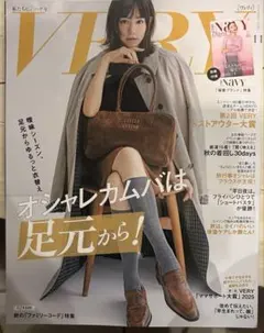 VERY 11月号　　付録有り