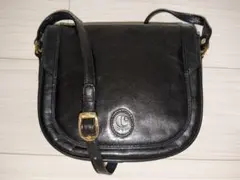 Item thumbnail for item 61ba9474-e3c4-49a9-adb8-bfef9db45547