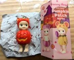 ソニーエンジェル パンプキンパッチ pumpkin patch ネコ 猫 cat