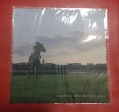 JRA ウインズデーアーモンドアイ マルチクロス&名馬写真台紙付き