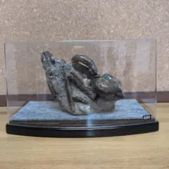 アンモナイト化石(680)