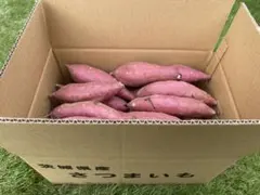 茨城県産紅はるかM100キロ　海花様専用品