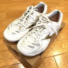 2025年最新】ミズノ バドミントン シューズ ウエーブ ファング プロの