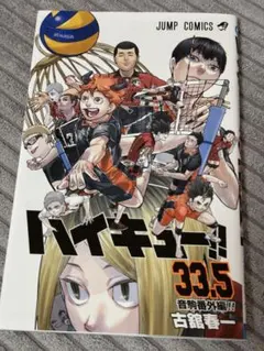 ハイキュー!! 33.5 ゴミ捨て場の決戦 映画 入場者特典