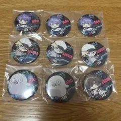 Crazy Raccoon CRフェス 2025 缶バッジ CRFES 天月 CRフェス 缶バッジ チェキ 天月 - メルカリ