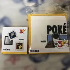 ポケモン30周年 ミニタオル スライドミラー
