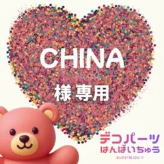 CHINA 様　専用ページ