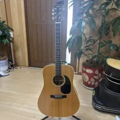 Aria アリアW-30K オールコア ジャパンビンテージ 高級ハードケース付