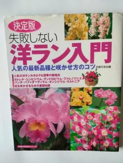 失敗しない洋ラン入門