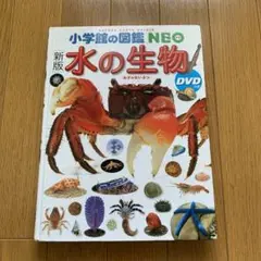 新版本 水の生物 DVD付き
