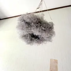 スモークツリー フライングリース M 23cm ＊ ふわふわ ドライフラワー ⑩のサムネイル