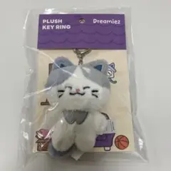 チョンロ アイドル
