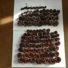 Item thumbnail for item 0b024609-4d5b-486f-85d4-43a8ee89a635