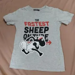 ひつじのショーン Tシャツ 130cm