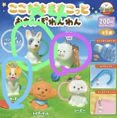 ここだよますこっと おさんぽわんわん セット