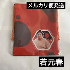 大相撲クレーン　若元春　こんなに立派になりましたマステ　ホログラム　ステッカー Amazon | 大相撲クレーン 若元春 こんなに立派になりました