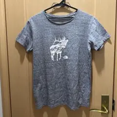 THE NORTH FACE 半袖Tシャツ グレー　レディースＬのサムネイル