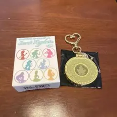 ディズニープリンセス シークレットキーチェーン