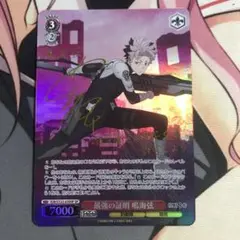 ヴァイスシュヴァルツ
