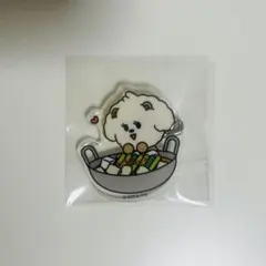 バムグッ アイドル