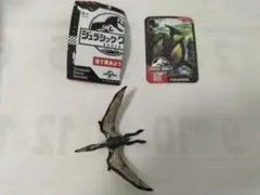 プテラノドン ジュラシック・ワールド キャプティブズ 復活の大地