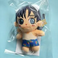 CNBLUE 韓国 公式 MINIBLUE ヨンファ ぬいぐるみ 未開封品 - メルカリ