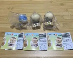 【まとめ売り】ちいかわ いっしょにがんばろ！ダンボールウォッチ３