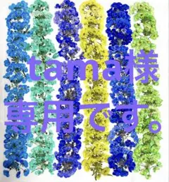 tama様 リクエスト 2点 まとめ商品