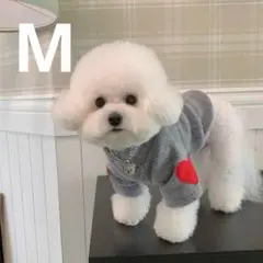 Item thumbnail for item dc298ce8-90b9-40bd-94ed-6aa776c078fb