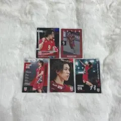 【未使用】バレーボール 日本代表 大宅真樹 選手 トレカ 5枚セット