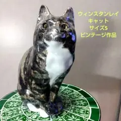 大きなサイズ5のペルシャ猫、ウィンスタンレイキャット(ケンジントンキャット)