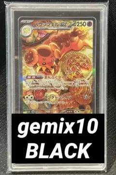 バウッツェル　PSA10 SAR ステラミラクル　値下げ交渉可 バウッツェル PSA10 SAR ステラミラクル 値下げ交渉可 ポケモン